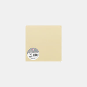 Carte 160x160 velin 210g chamois Pollen