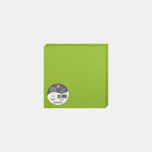 Carte pré pliée 160x320 velin 210g vert menthe Pollen