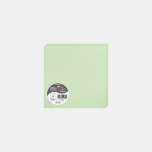 Carte pré pliée 160x320 velin 210g vert Pollen