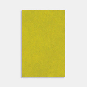 Feuille a4 papier nepalais 90g anis gr8