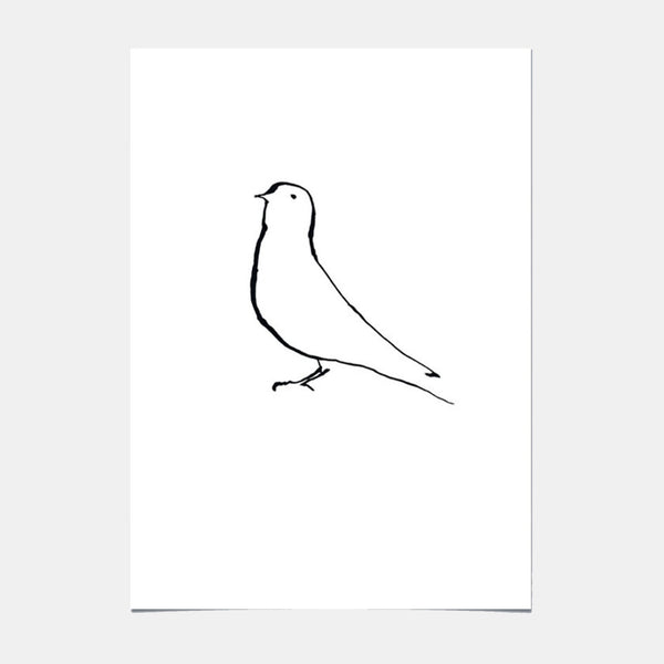 Affiche d'Art - Bird - 01