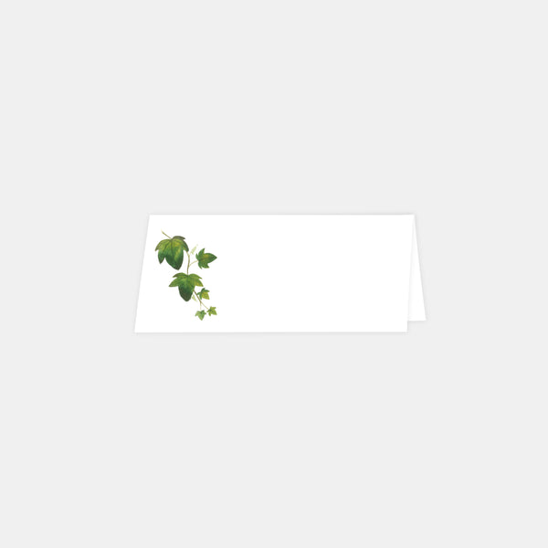 Watercolor vines place mark - 20ex