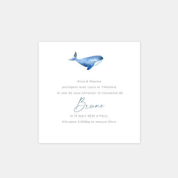 Faire-part naissance famille baleine