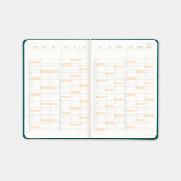 Rhodia Agenda 2024 a6 peacock