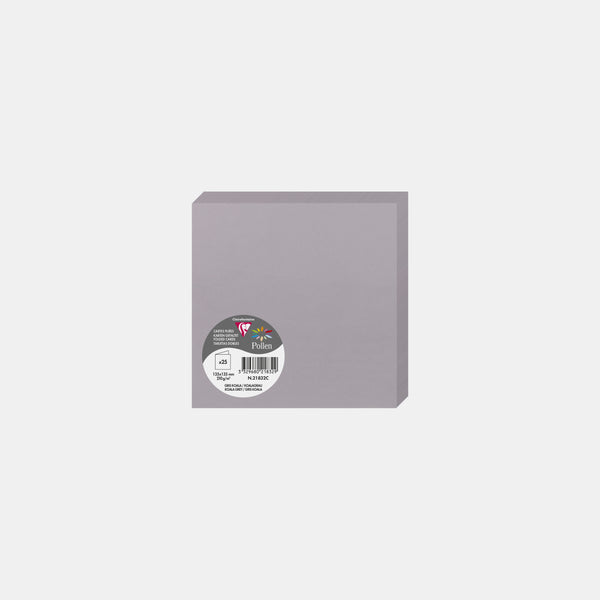 Carte pré pliée 135x270 velin 210g gris koala Pollen