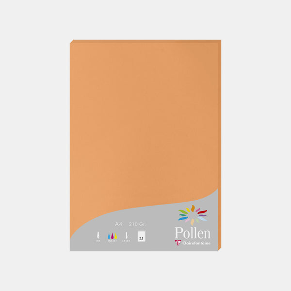 A4-Pergamentblatt, 210 g, oranger Clementinenpollen