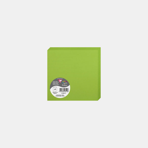 Carte pré pliée 135x270 velin 210g vert menthe Pollen