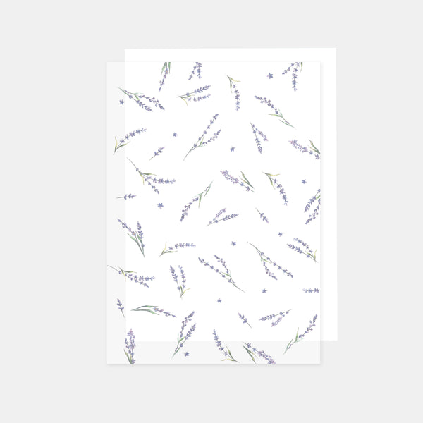 A4-Blatt bedrucktes Transparentpapier, 90 g, Lavendel