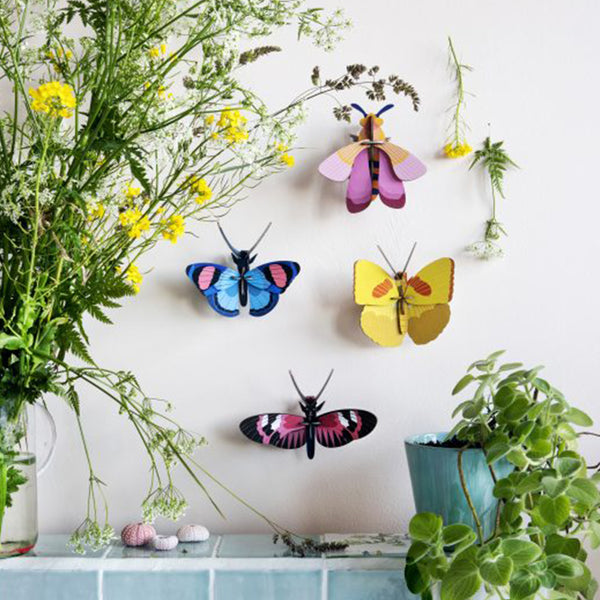Langflügeliger Schmetterling - Studiodach