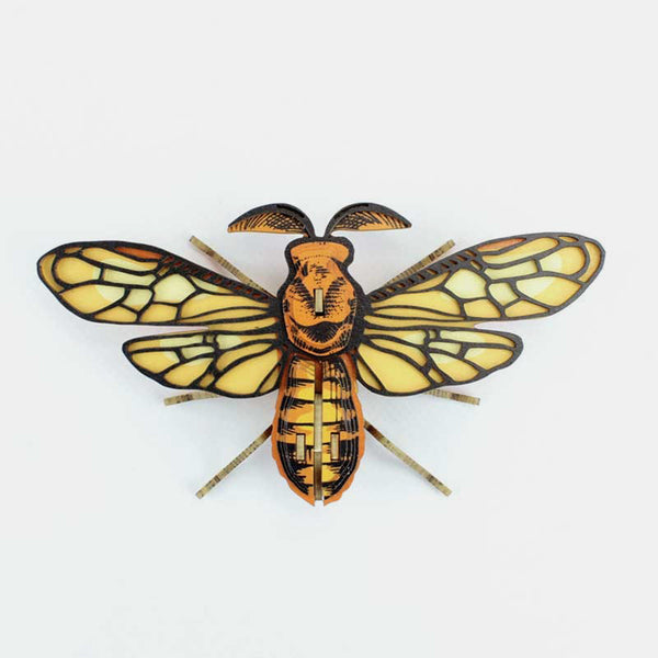 Insecte Noctambulus 3D