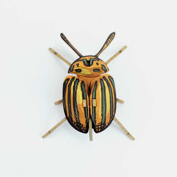 Insectes Pucetulus 3D