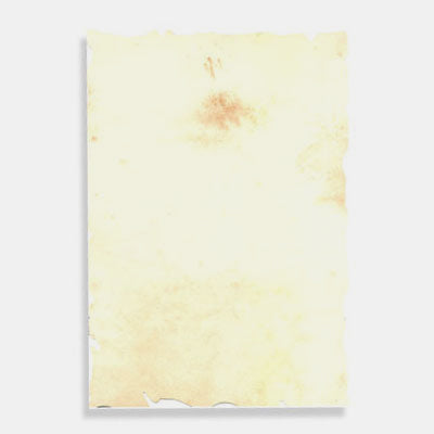 A4-Blatt Pergamentpapier, 110 g, cremefarben