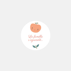Stickers personnalisés naissance famille pommes
