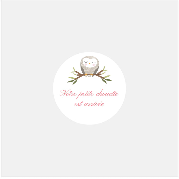 Stickers personnalisés naissance famille chouettes