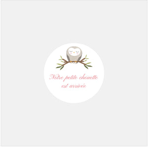 Stickers personnalisés naissance famille chouettes