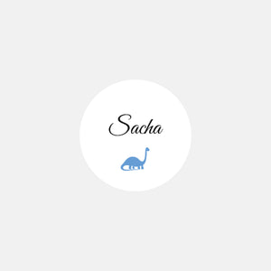Stickers personnalisés naissance petit dinosaure