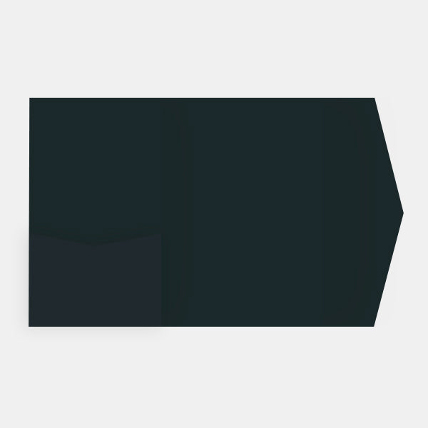 Pockart 180 black vellum compartment card