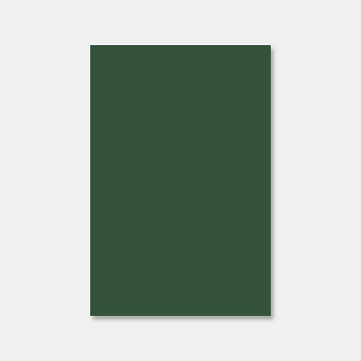 Feuille a4 papier velin 250g vert cactus