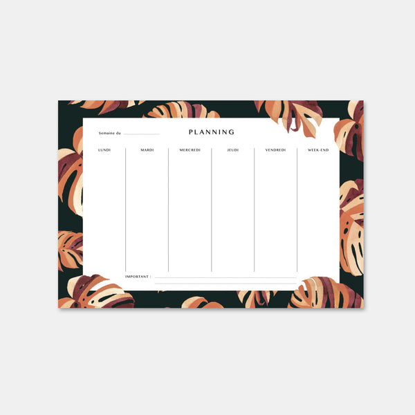 Weekly Monstera